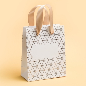 Buy Wholesale Gift Bags at Apollo Wholesale