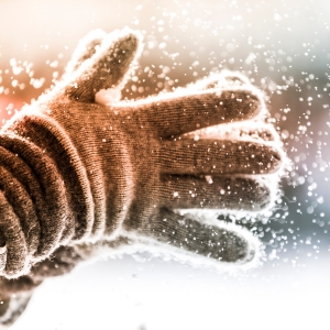 Buy Wholesale Gloves at Apollo Wholesale