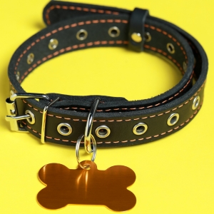 Buy Wholesale Leather Dog Collars and Leads at Apollo Wholesale