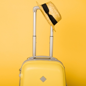 Wholesale Luggage Essentials Buy Wholesale Luggage Essentials at Apollo Wholesale