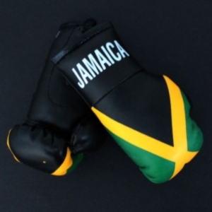 Wholesale Mini Boxing Gloves Buy Wholesale Mini Boxing Gloves at Apollo Wholesale