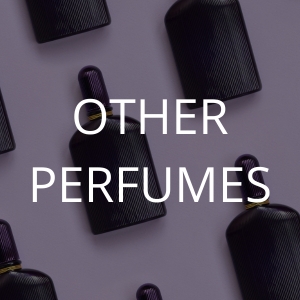 Wholesale Perfumes Buy Wholesale Perfumes at Apollo Wholesale
