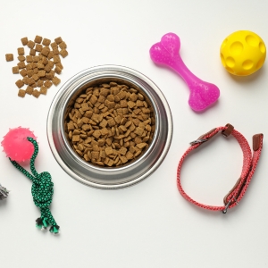 Buy Wholesale Pet Accessories at Apollo Wholesale