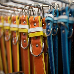 Buy Wholesale Dog Collars at Apollo Wholesale