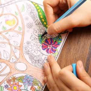 Buy Bulk Adults Colouring Books & Supplies at Apollo Wholesale