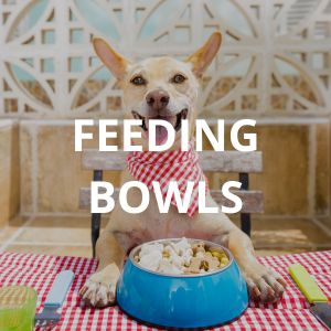 Pet Feeding Bowls