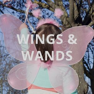 Wings & Wands