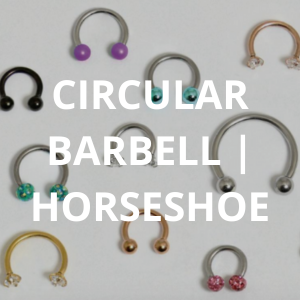 Circular Barbell | Horseshoe