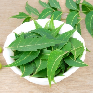 Explore Wholesale Neem Toiletry Products