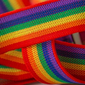 Rainbow Pride Merch | Belts | Braces | Ties