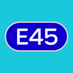 Wholesale E45